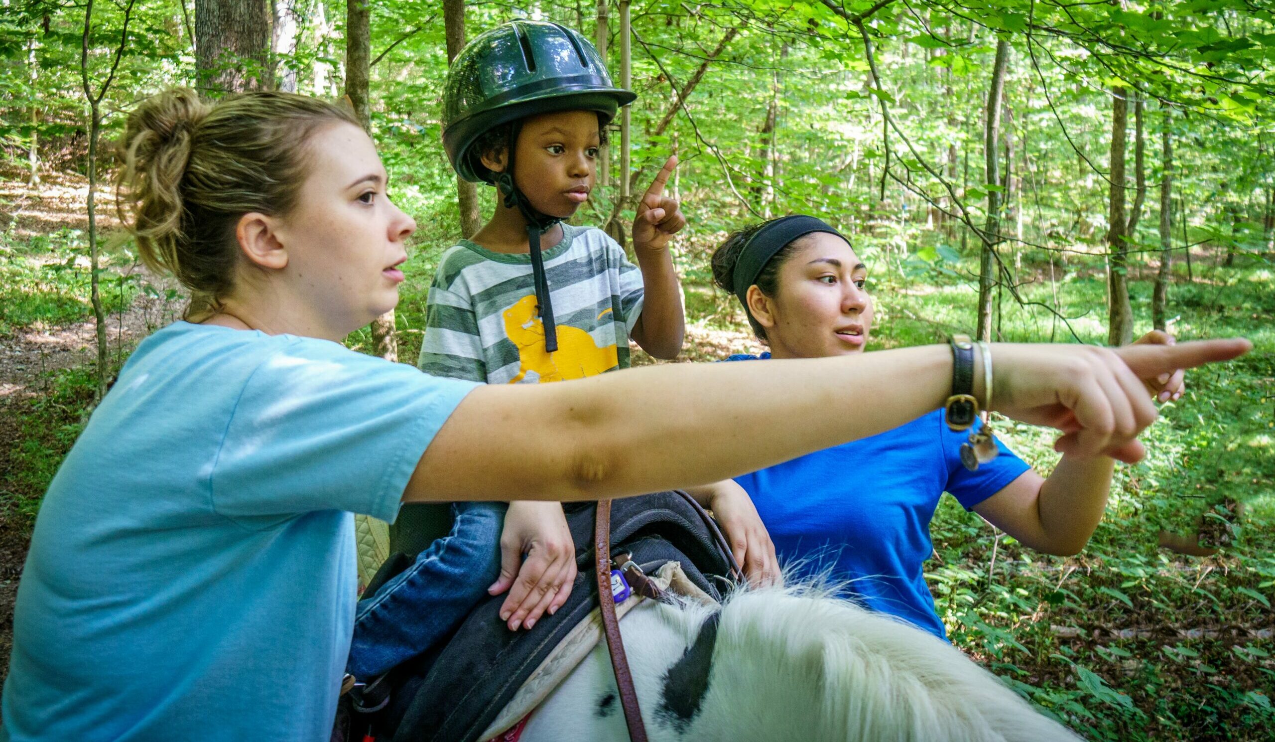 Students take the reins at horse therapy camp